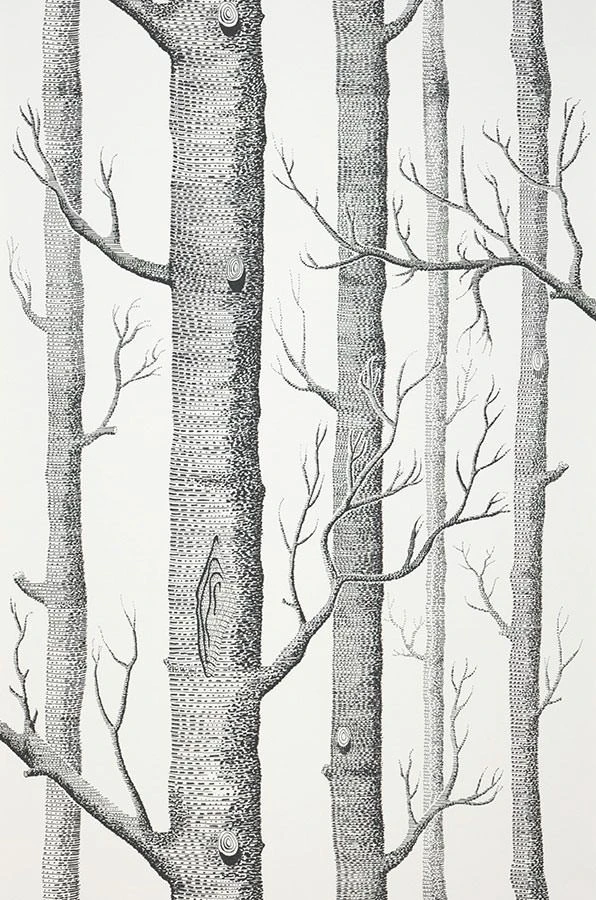 Tapete Birch Forest Schwarz – Bild 2