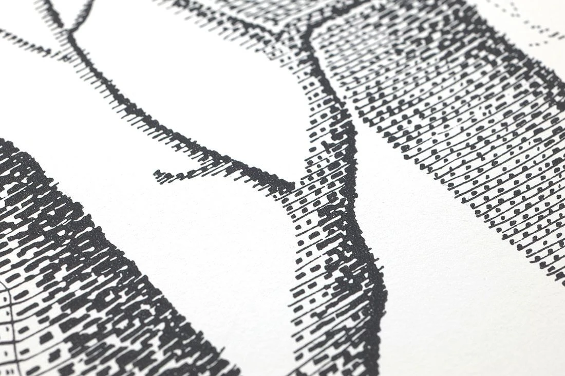 Tapete Birch Forest Schwarz – Bild 3