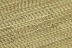 Tapete Grasscloth 01 Blassgrün