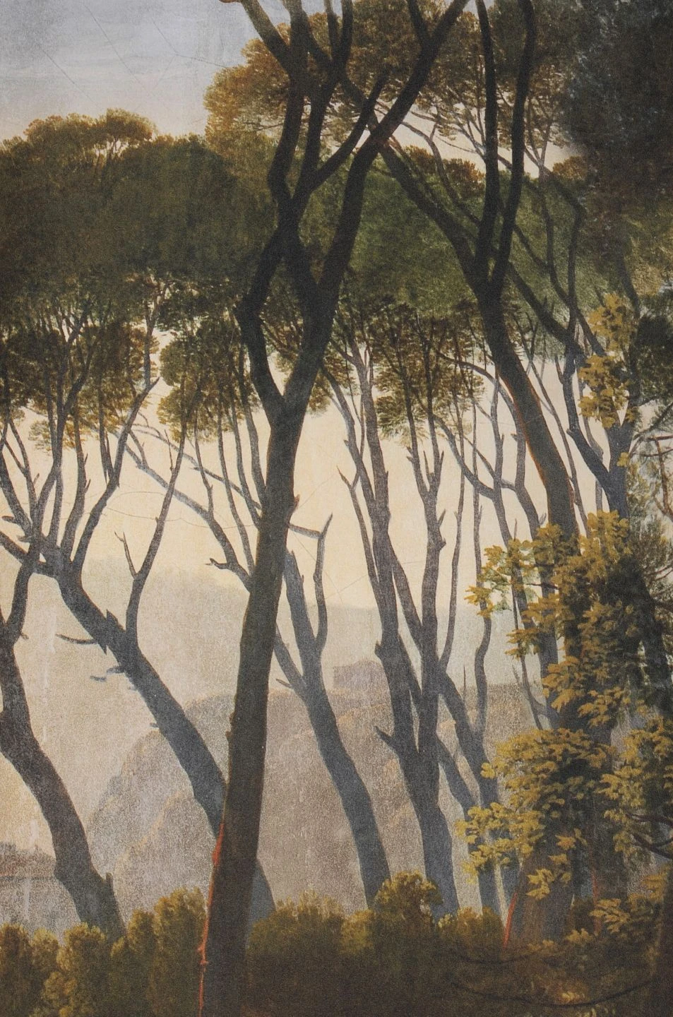 Wandbild Pine Trees Grüntöne – Bild 2