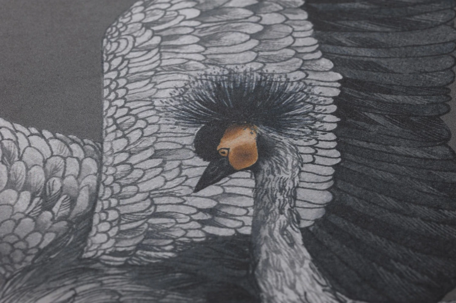 Tapete Kimora Dunkelgrau – Bild 3