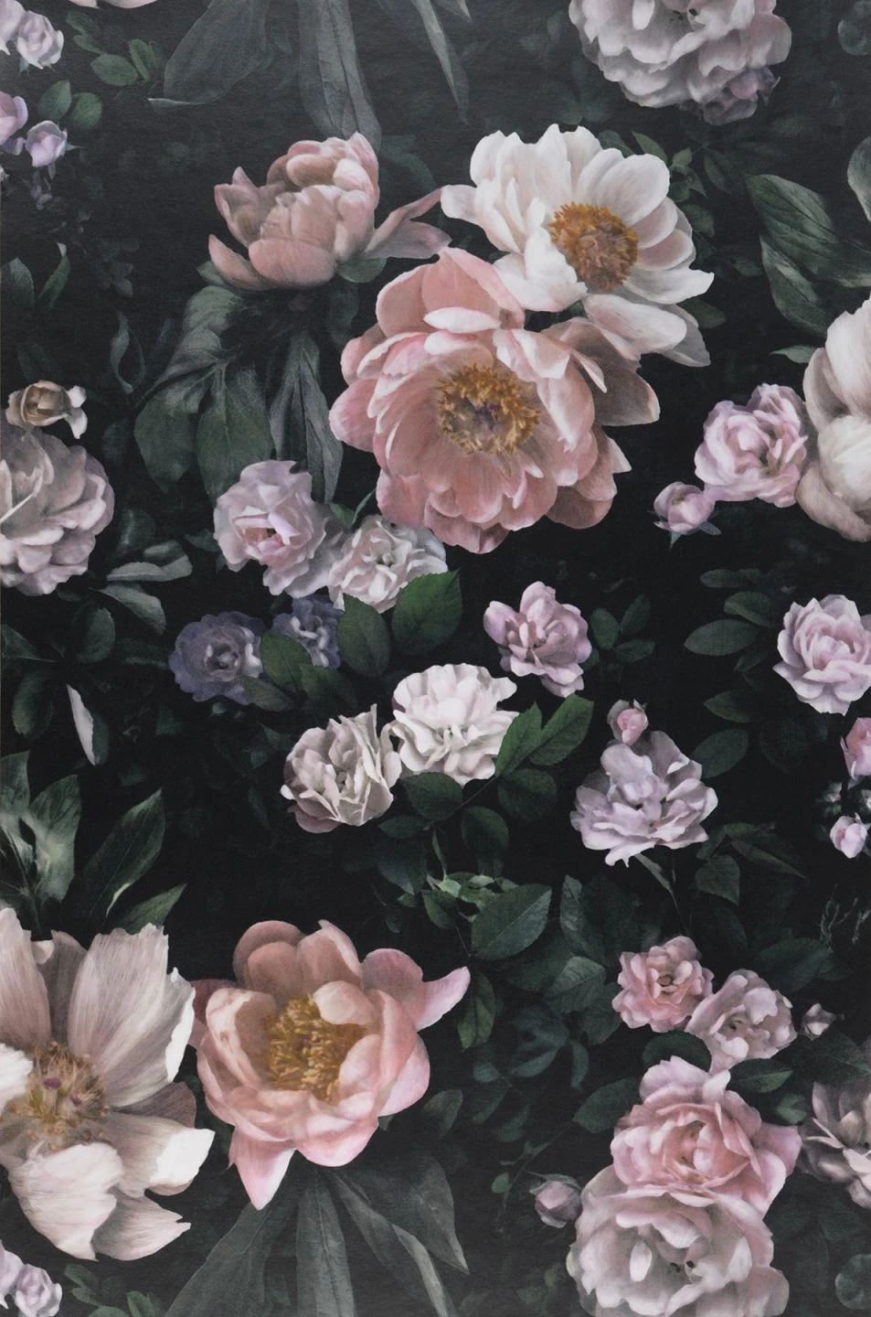 Tapete Sianna Schwarzgrün – Bild 2