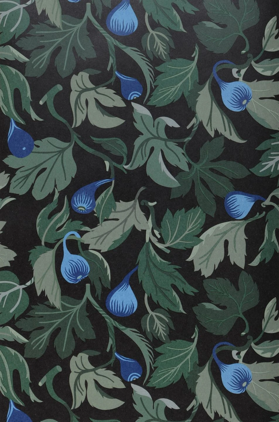 Tapete Mandolino Schwarz – Bild 2