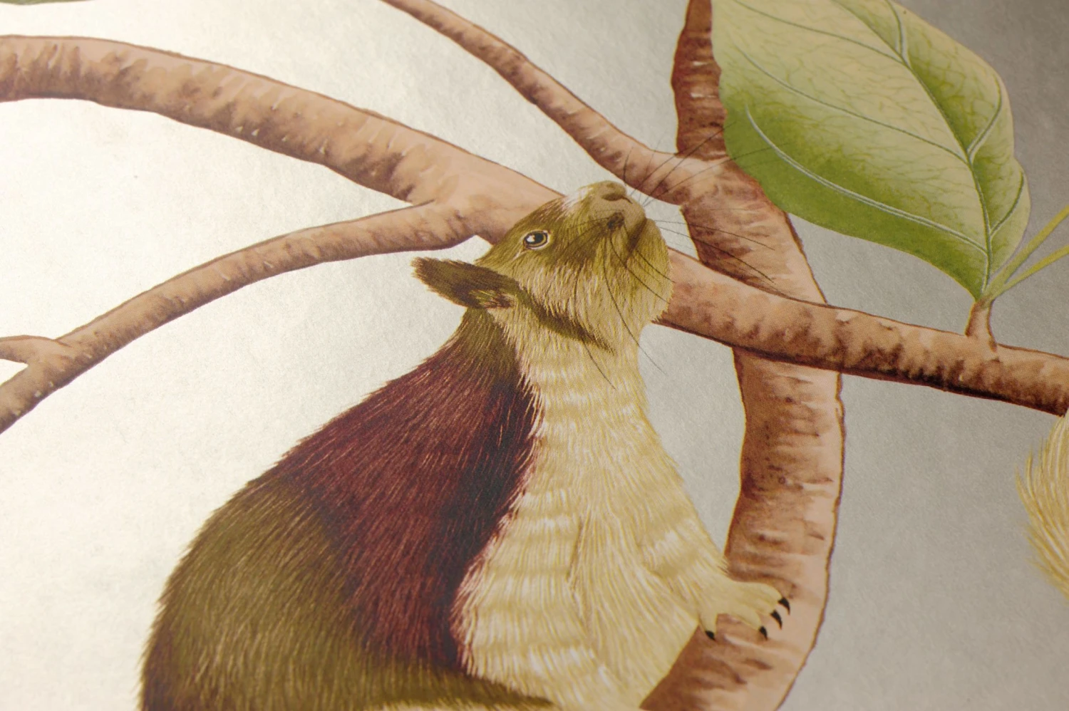 Tapete Brio Perlbeige – Bild 2