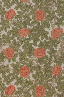 Tapete Rambling Rose Korallenrot