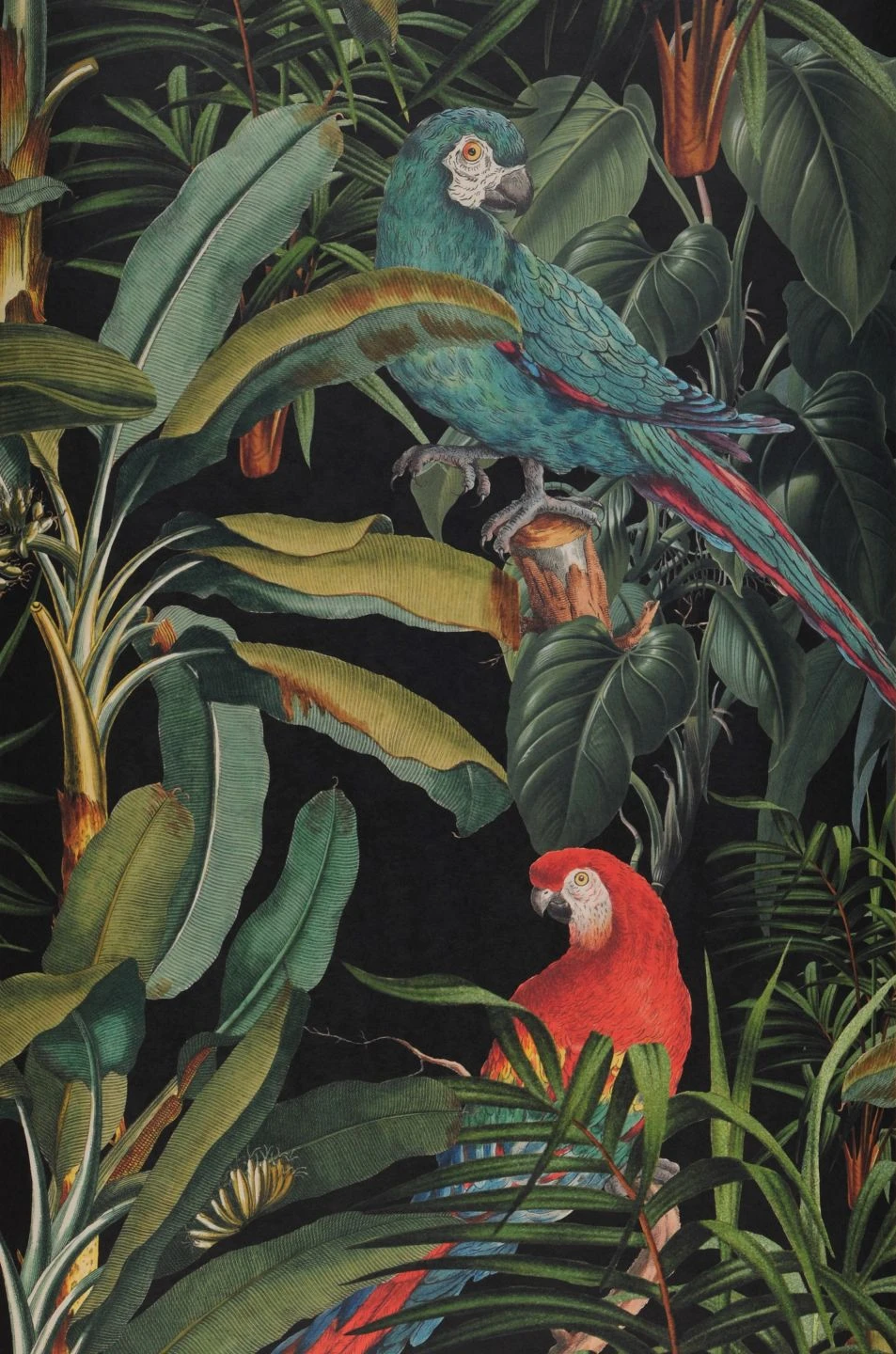 Wandbild Parrots Of Brasil Grün – Bild 2