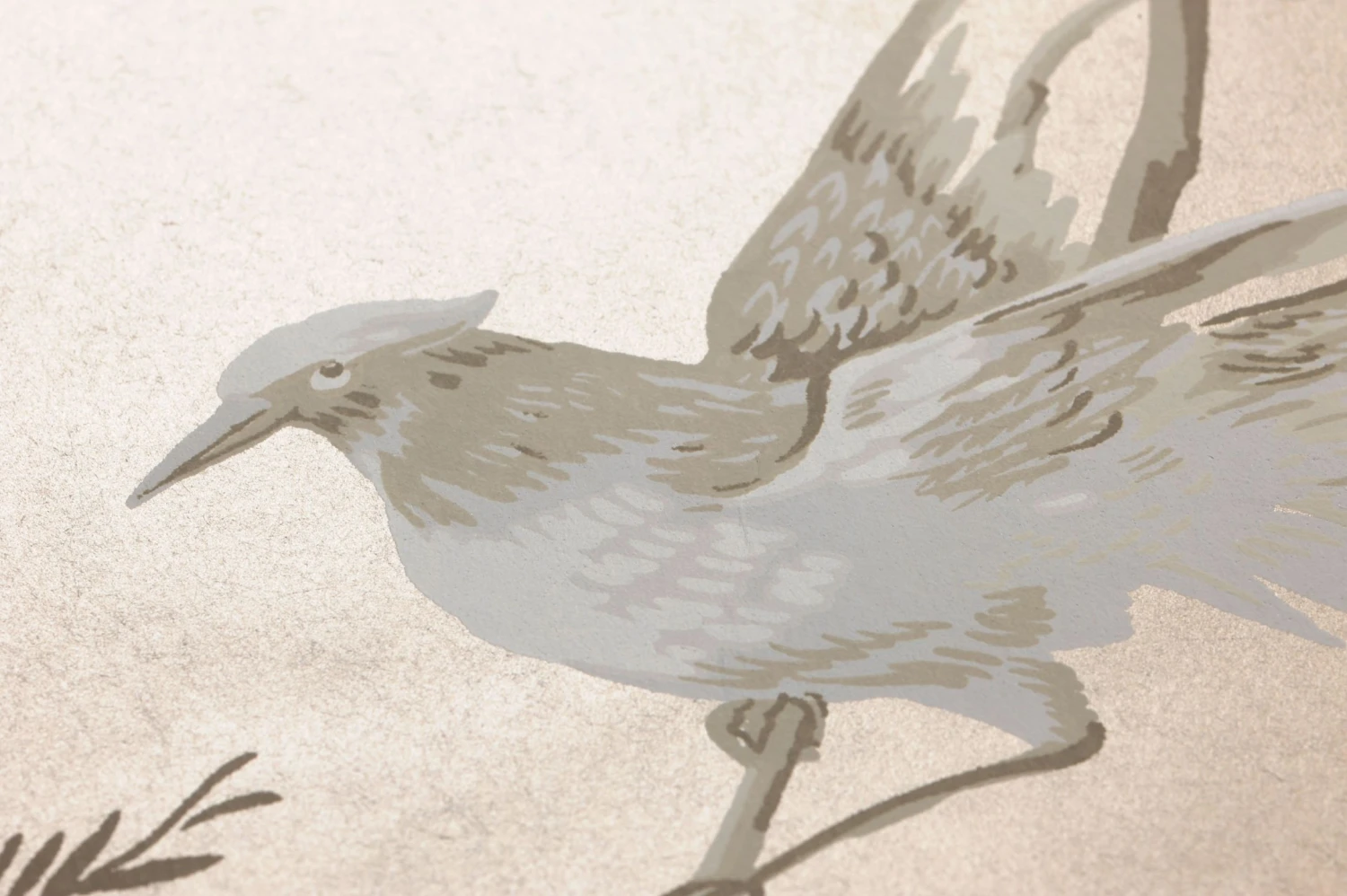 Tapete Coringa Perlbeige – Bild 2