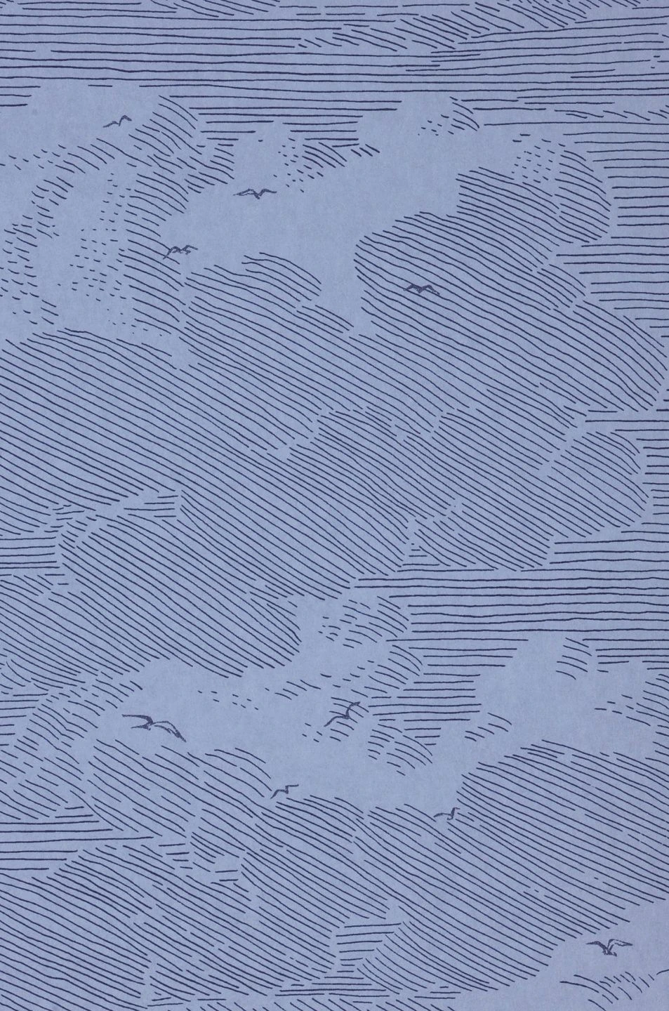 Tapete Skyward Taubenblau – Bild 2