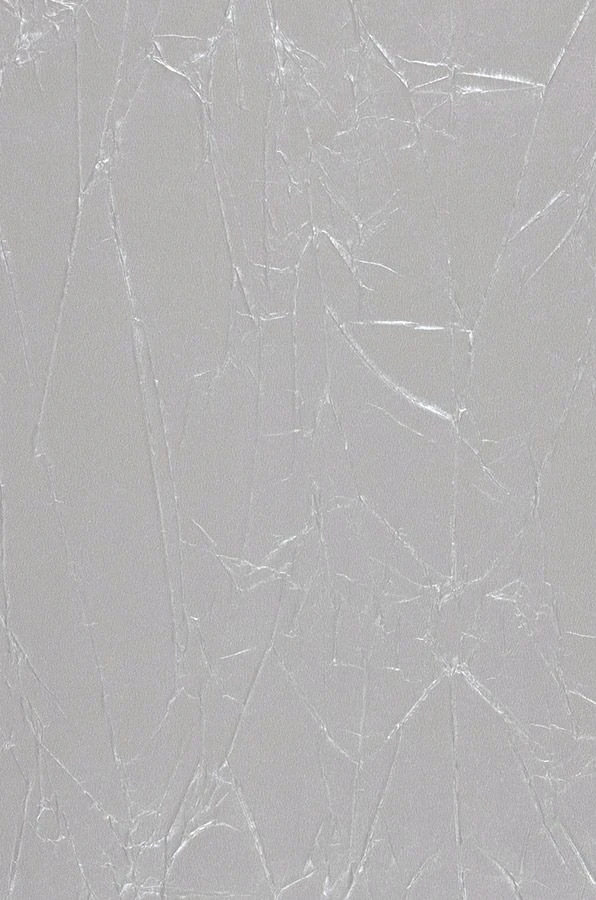 Tapete Crush Avantgarde 03 Silbergrau – Bild 2