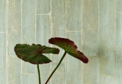 Tapete Atoras Pastellgrün