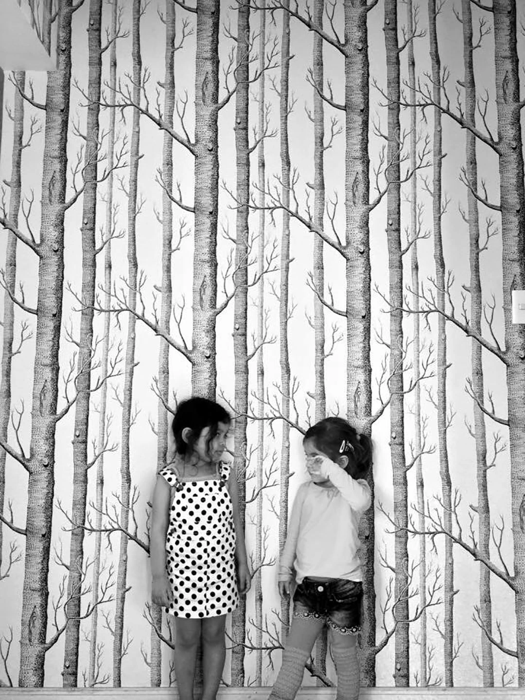 Tapete Birch Forest Schwarz – Bild 5