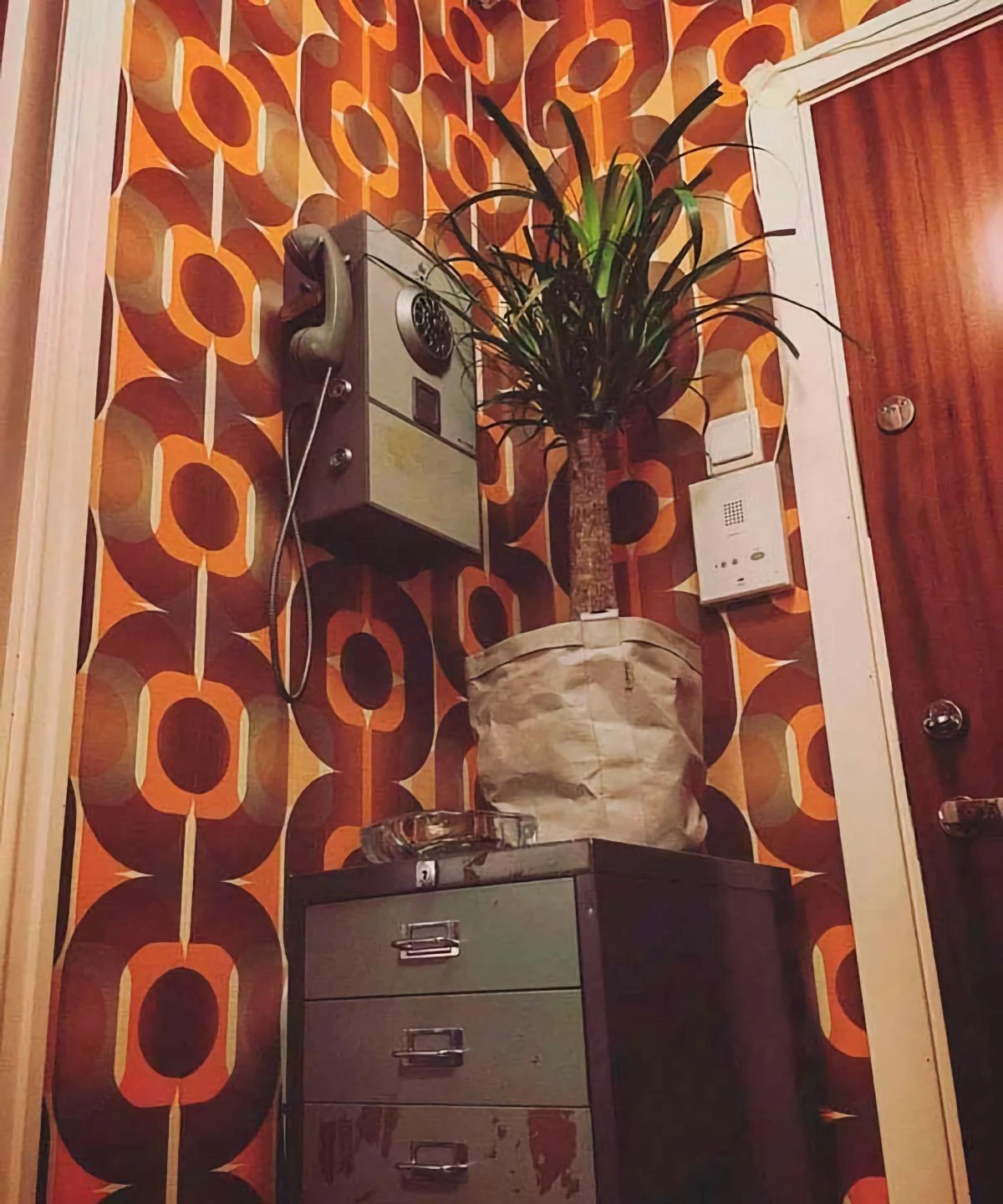 Tapete Sinon Orange – Bild 3